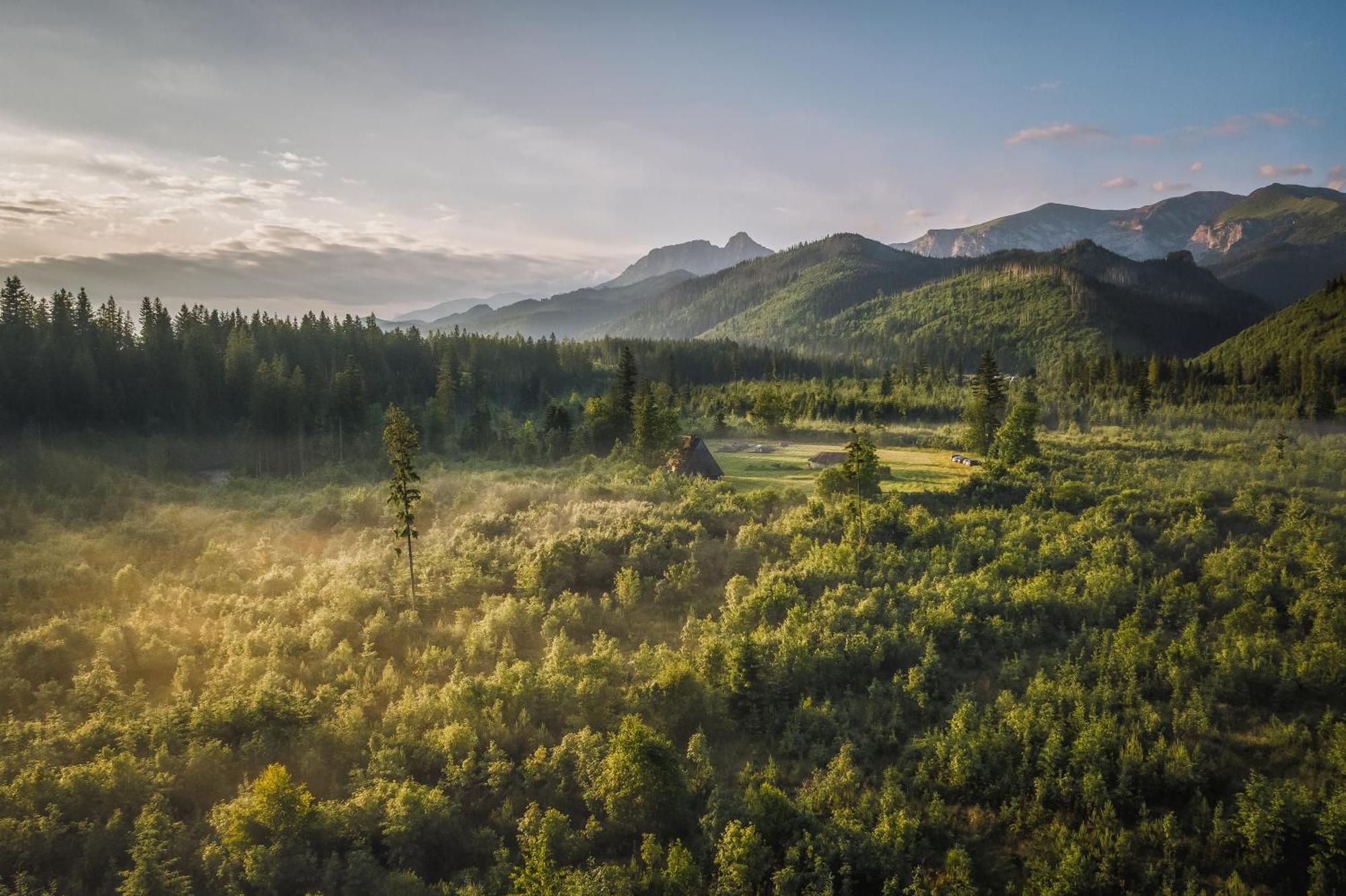 Apartamenty Krokus Przy Polanie Bialy Potok Witów Esterno foto