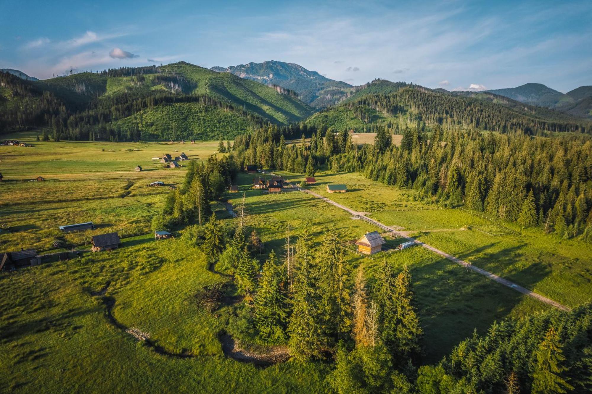 Apartamenty Krokus Przy Polanie Bialy Potok Witów Esterno foto